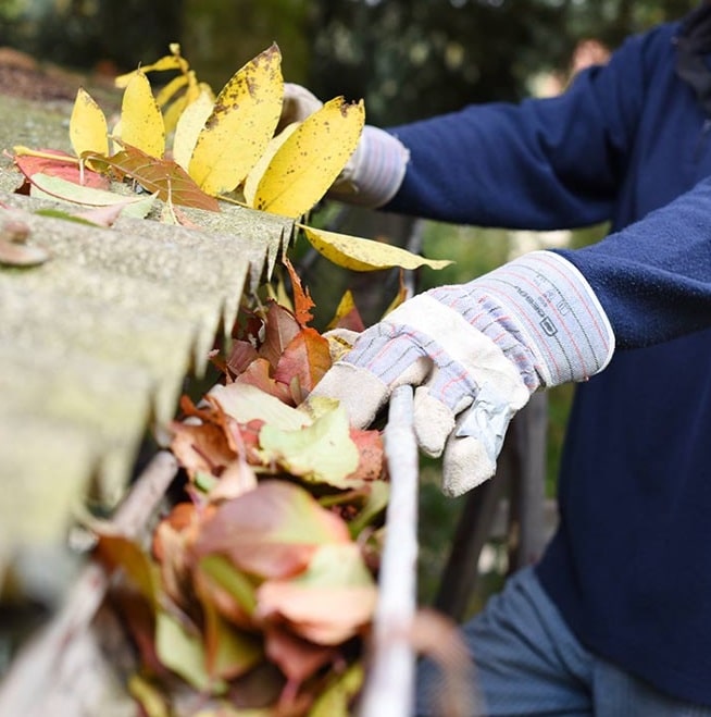 gutter-cleaning Gutter Cleaning Maintenance Plans