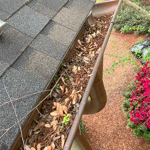 Clogged Gutters