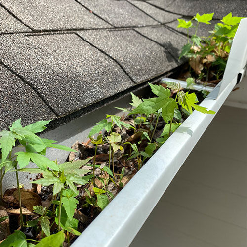 Gutter Cleaning