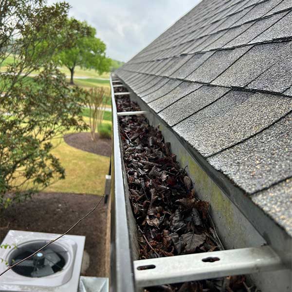 Leaves in Gutter